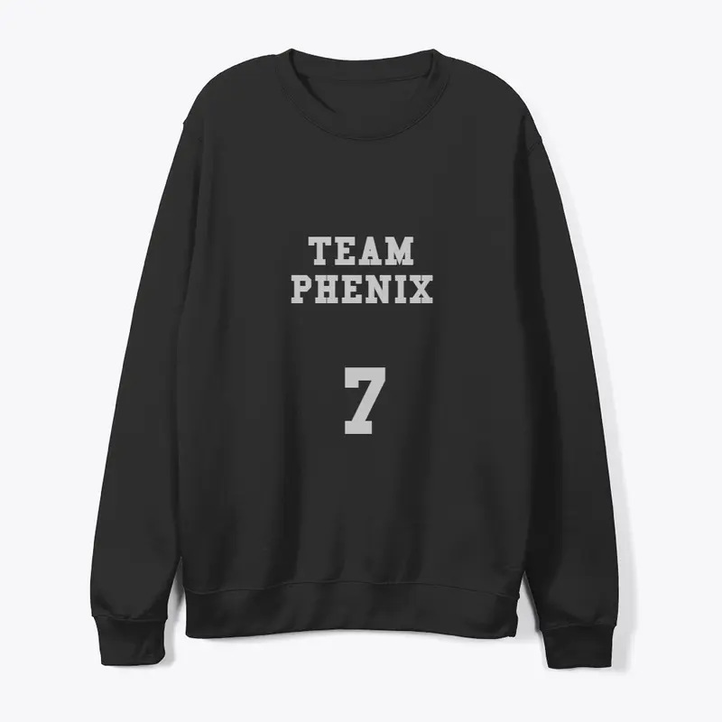 Team Phenix 